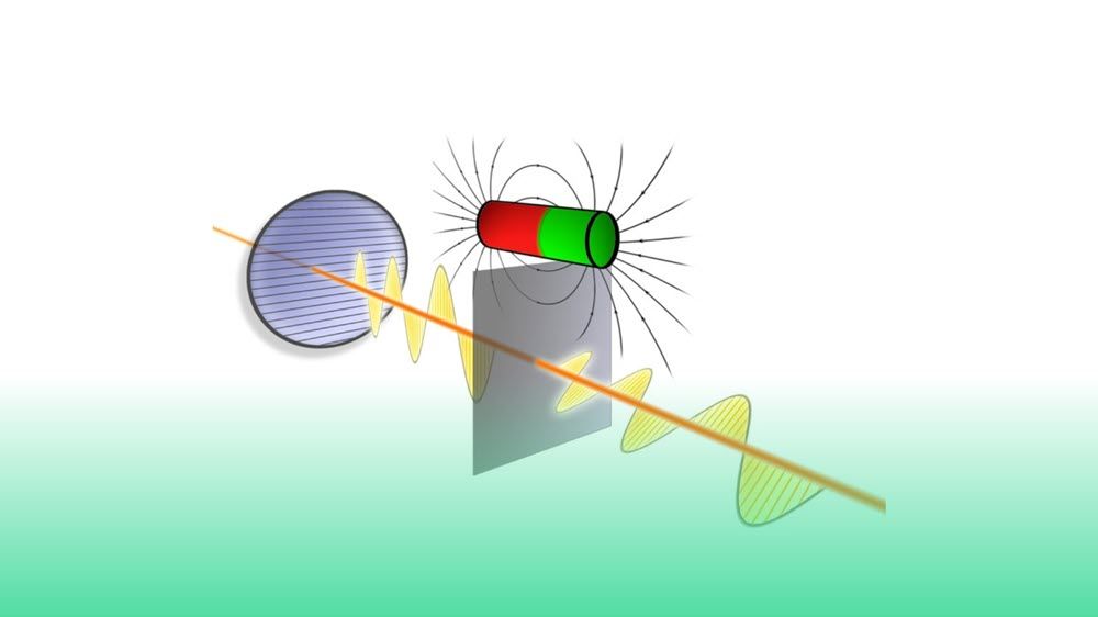 Magnetoelectric and magnetoionic effects stimulated by light